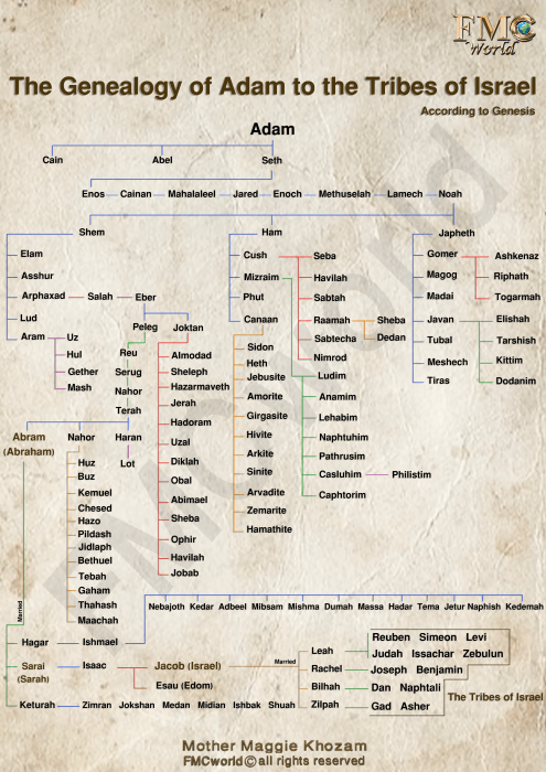 Adam-E