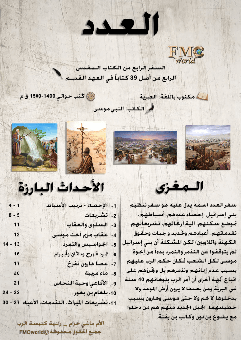 العدد